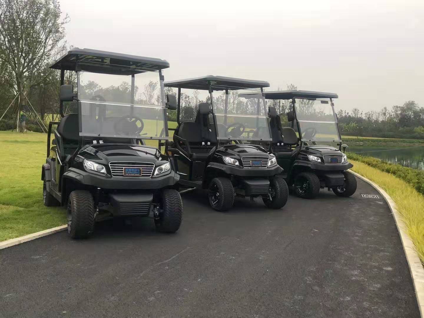 2座午夜影院网站高爾夫球車(M1S2)